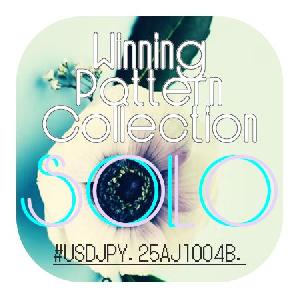 WPC_SOLO_25AJ1004B_UJ_Ver1