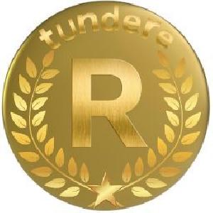 ピラミッティング裁量補助EA(半裁量)の最高峰！tundere【R】