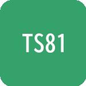 TS81 Auto Trading