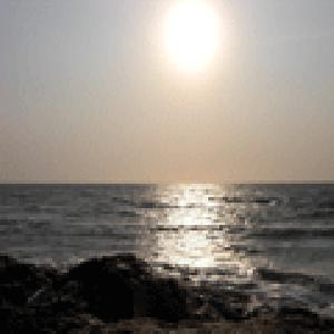 KOYUの日経２２５mini