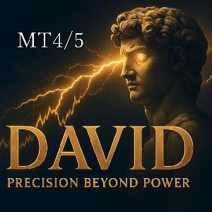 DAVID　(ダビデ）/MT4・5版