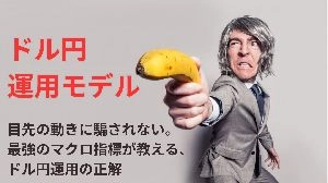 『ドル円・相関の極致 ― マクロ指標から導き出す「後出しジャンケン」の投資戦略 ―』 Indicators/E-books