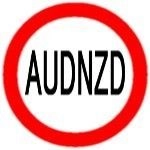 マル　AUDNZD Auto Trading