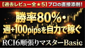 RCI6順張りマスターBasic インジケーター・電子書籍