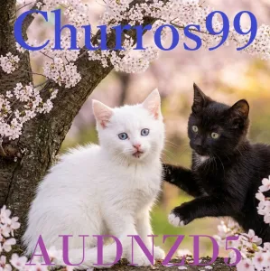 Churros99AUDNZD5