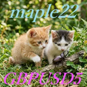 Maple22GBPUSD Auto Trading