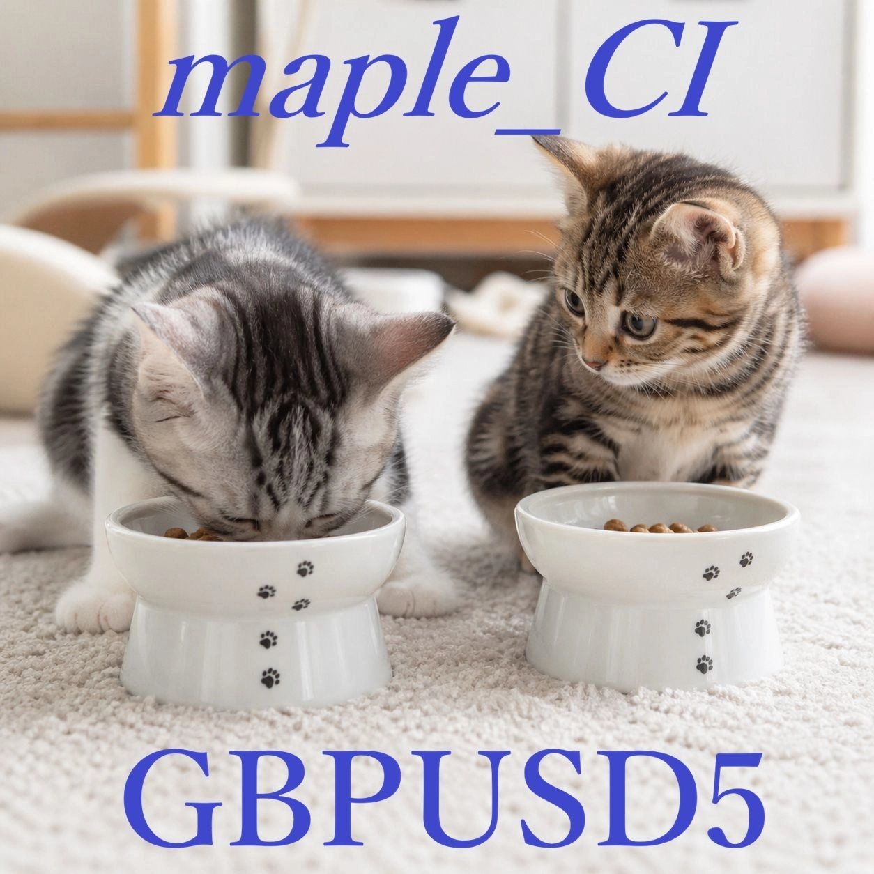 Maple_CI_GBPUSD