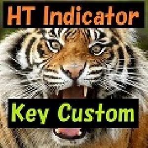 HT_Key_Custom