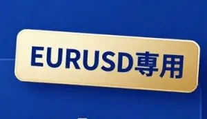 THE EURUSD MASTER