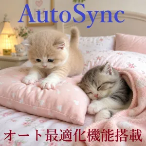 AutoSync
