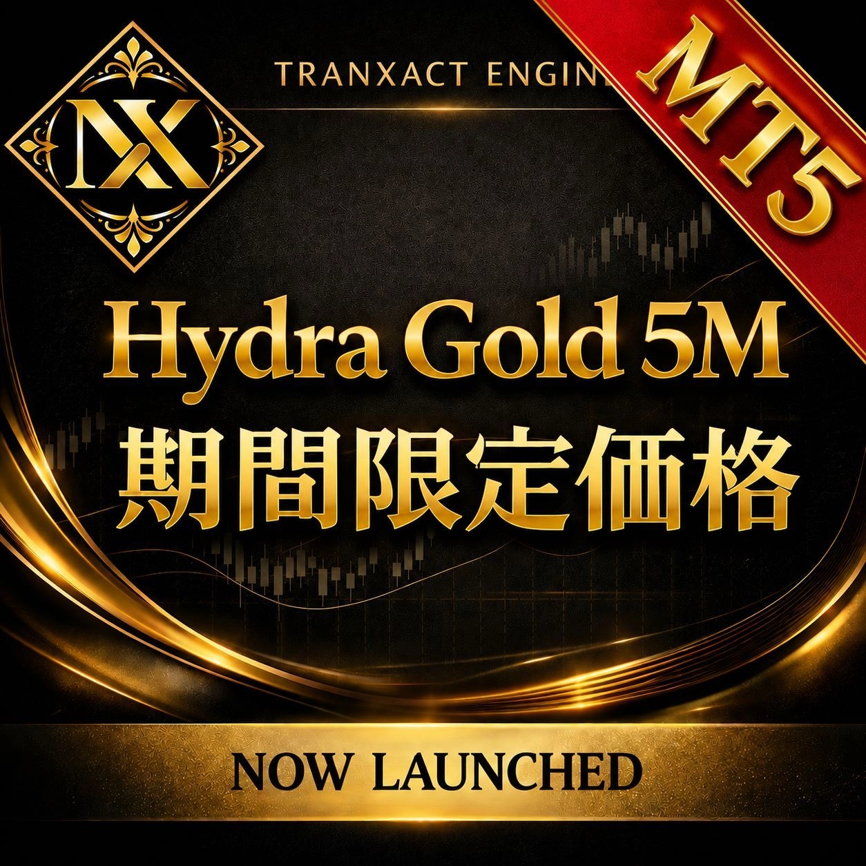 Hydra Gold 5M MT5版