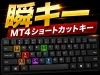 Instant Key MT4