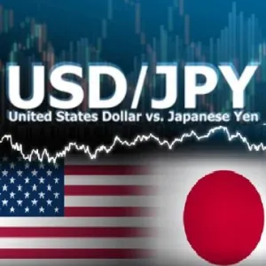 USD/JPY専用 ダウ理論 FX MT5自動売買EA
