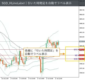 SGD_HLineLabel（MT5） Indicators/E-books