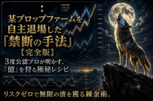 FX: Fintokeiを自主退場した『禁断の手法』【完全版】 Indicators/E-books