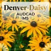 Denver-Daisy_AUDCAD_M5