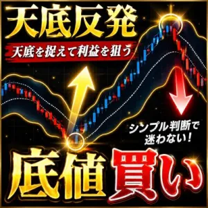天底反発の極限を捉える ダマシ回避逆張りシステム インジケーター・電子書籍