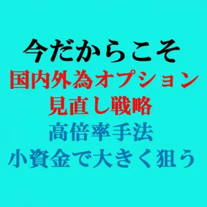 国内外為オプション見直し戦略 Indicators/E-books