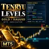 TENRYU LEVELS
