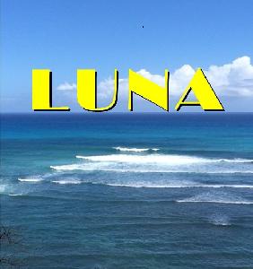 Luna 自動売買