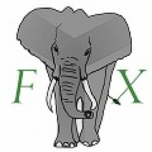 わいぞーリアル口座