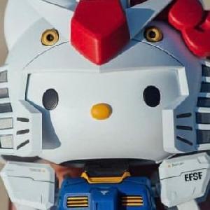 SMR FLASH PRO EDITION HFM