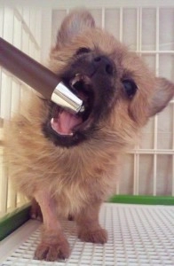 リアルトレード