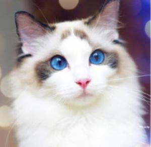 インフィニティ