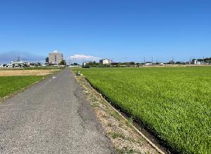 外為ファイネスト-GoGoGotobi