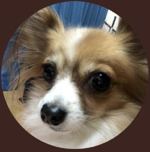 天孫降臨NEO_MT4(H○○)