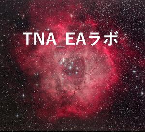 FXTF リアルトレード