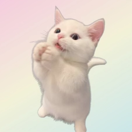 パリジェンヌの猫