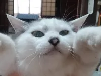 よー