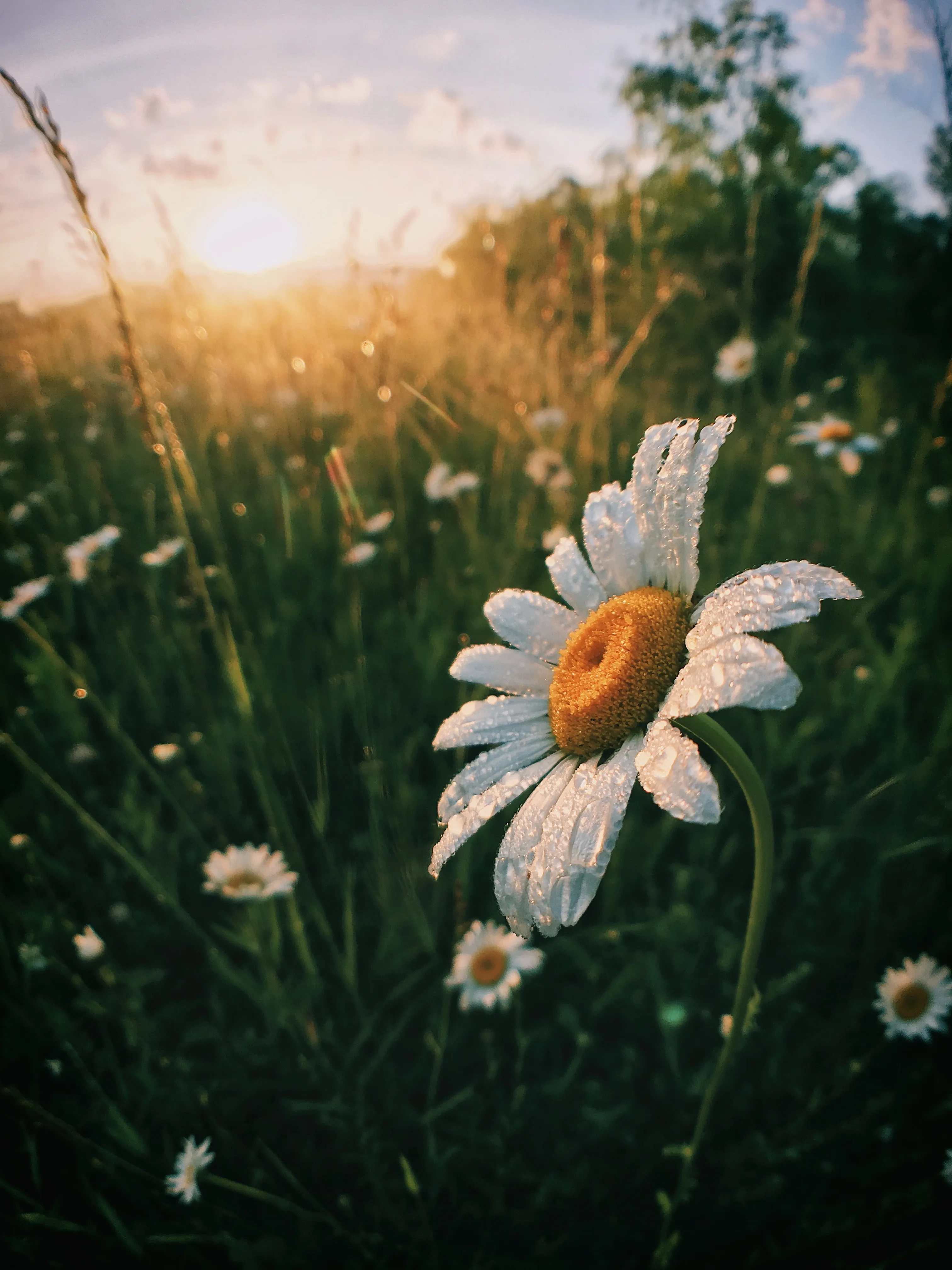 メンバーシップ商品の連載➀